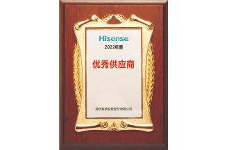 Hisense Excellent Supplier